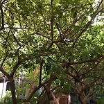 Casa Restart * Кастелламмаре-ди-Стабия