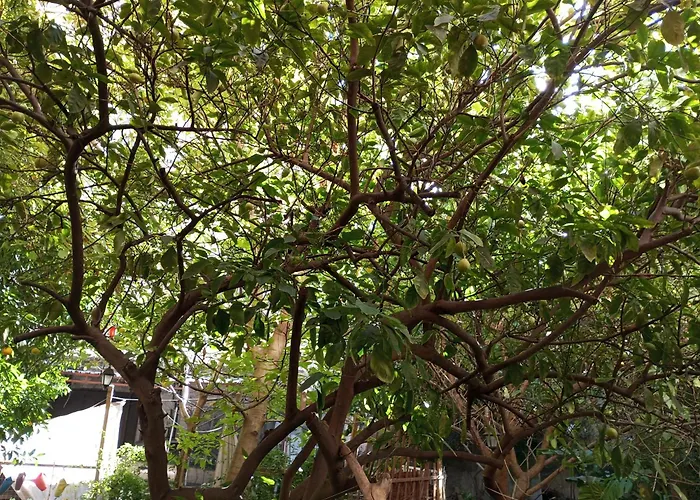 Casa Restart * Кастелламмаре-ди-Стабия