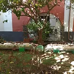Casa Restart