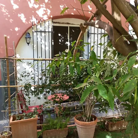Casa Restart